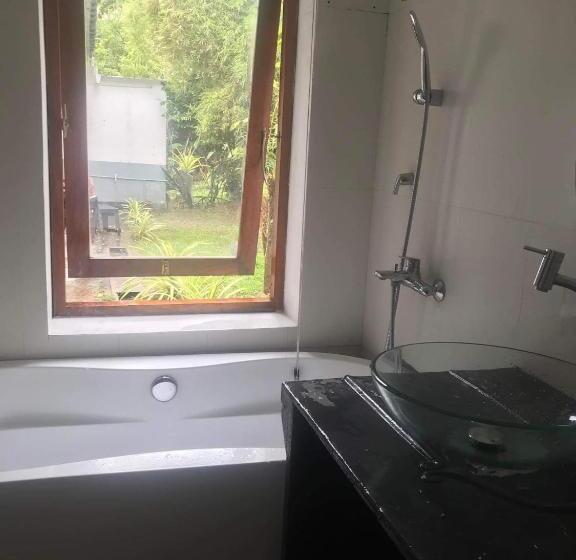 غرفة ديلوكس, Freedom192