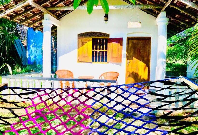 غرفة قياسية, Freedom192