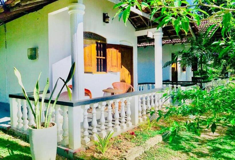 غرفة قياسية, Freedom192