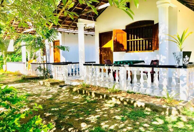 غرفة قياسية, Freedom192