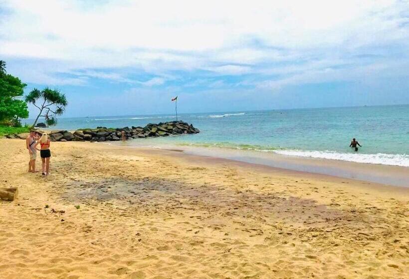 غرفة قياسية, Freedom192