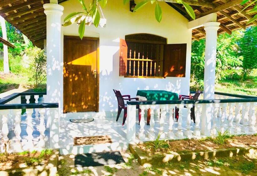 غرفة قياسية, Freedom192