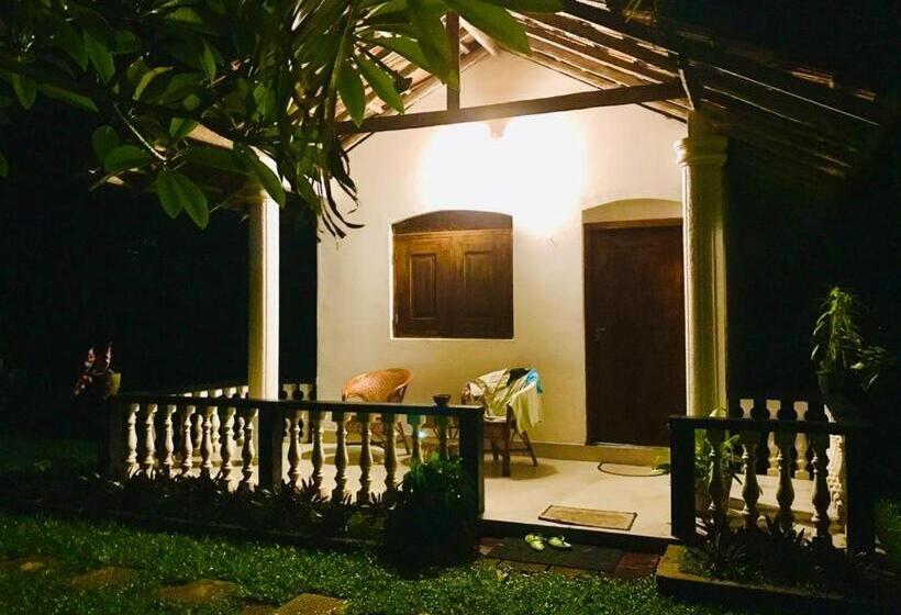 غرفة قياسية مطلّة علي الحديقة, Freedom192