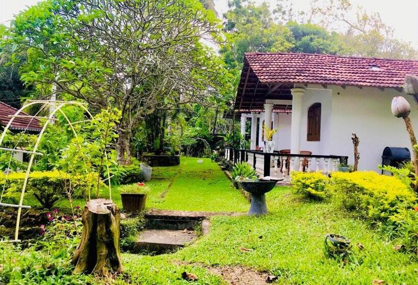 غرفة قياسية مطلّة علي الحديقة, Freedom192