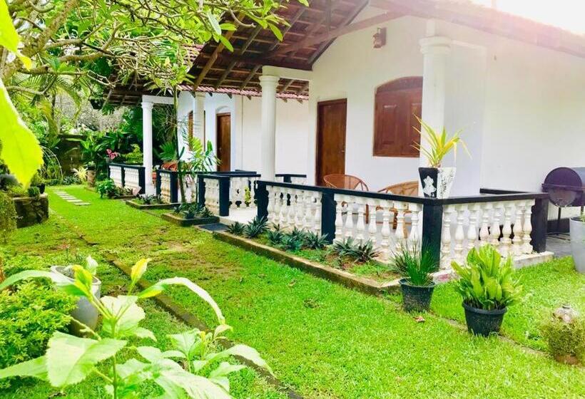 غرفة قياسية مطلّة علي الحديقة, Freedom192