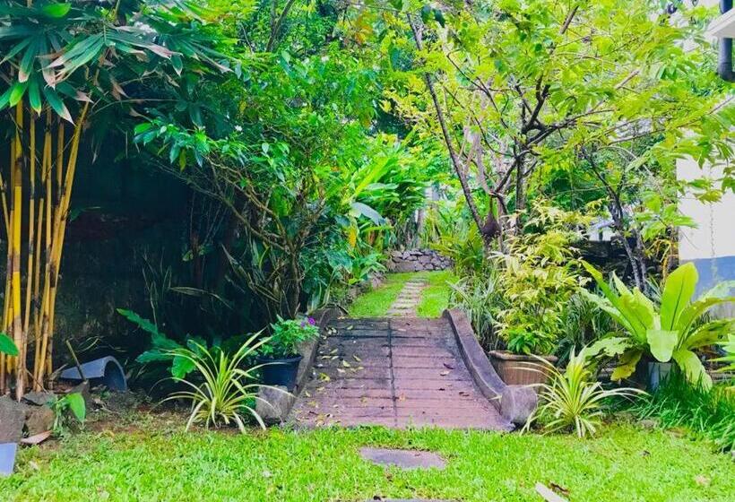 غرفة قياسية مطلّة علي الحديقة, Freedom192