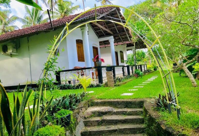 غرفة قياسية مطلّة علي الحديقة, Freedom192