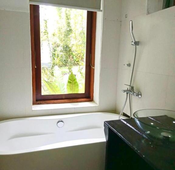 غرفة ديلوكس, Freedom192