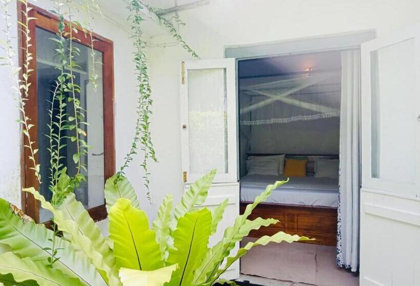 غرفة ديلوكس, Freedom192