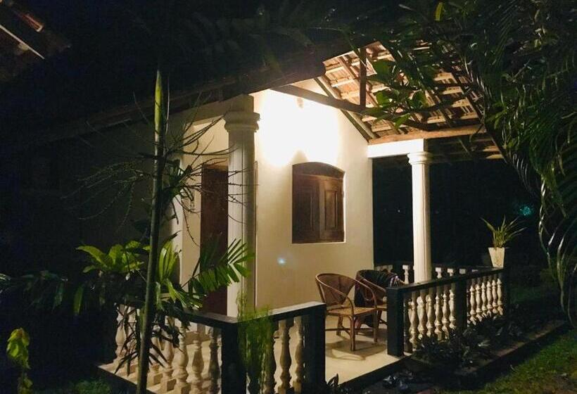 غرفة قياسية, Freedom192