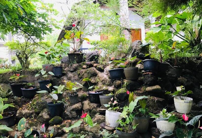 غرفة قياسية, Freedom192