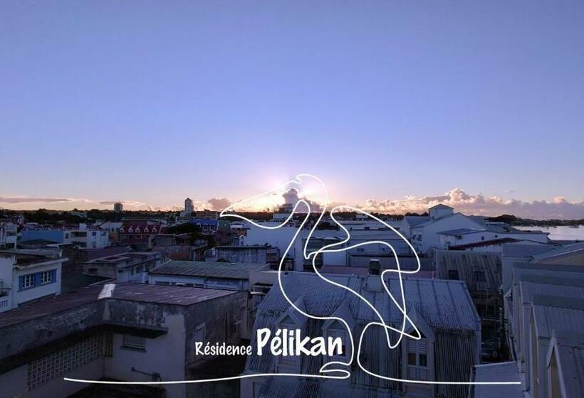 اتاق استاندارد با تراس, Pelikan Chambres D Hôtes