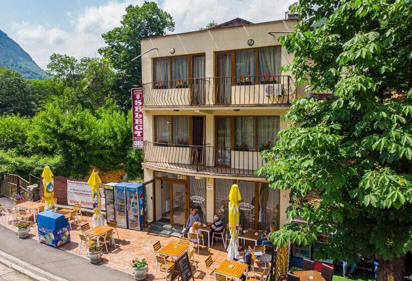 Номер Стандарт Вид на Горы, Pensiune Restaurant Select