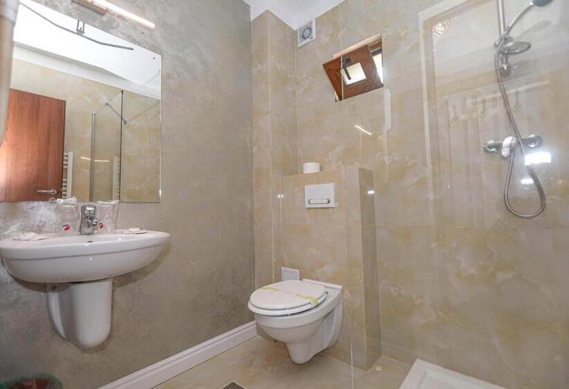 Номер Стандарт Вид на Горы, Pensiune Restaurant Select