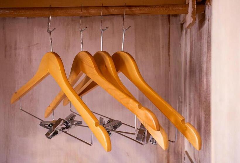 スタンダードルーム, Gambrinus