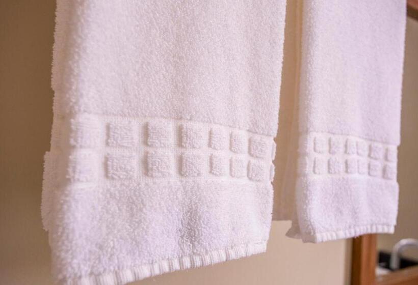 スーペリアールーム, Gambrinus