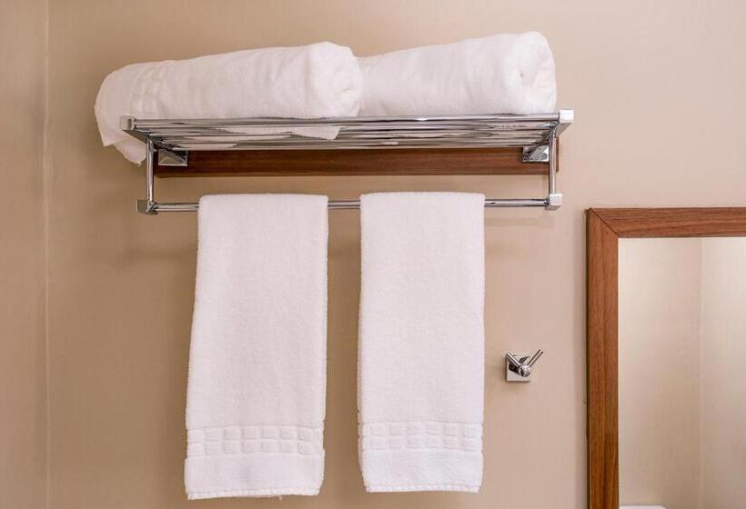 スーペリアールーム, Gambrinus