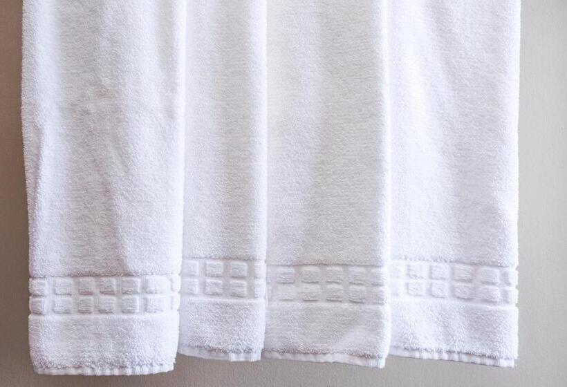 ファミリールーム, Gambrinus