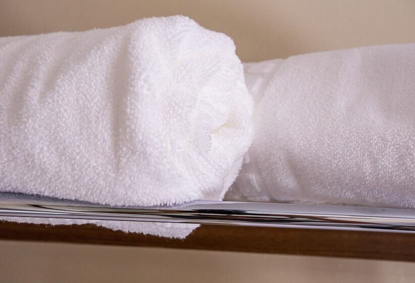 スーペリアールーム, Gambrinus