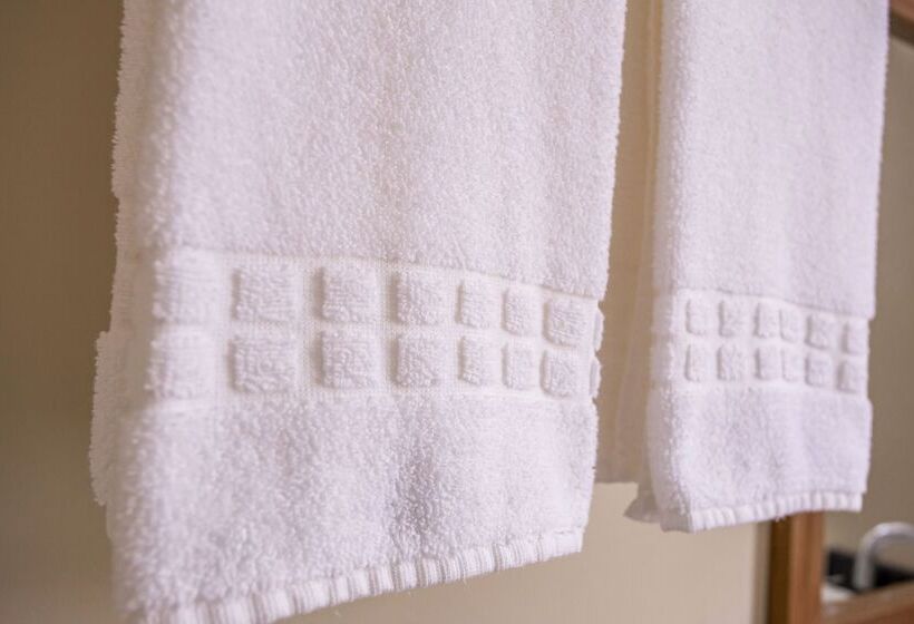 スーペリアールーム, Gambrinus