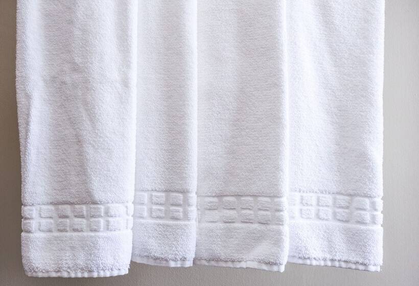 ファミリールーム, Gambrinus