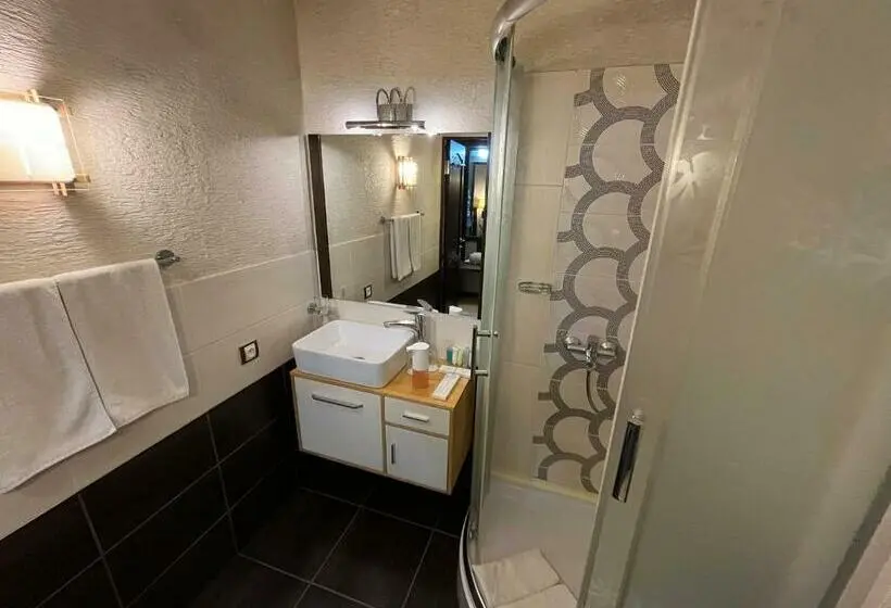 اتاق استاندارد, Orbita Hotel Shymkent
