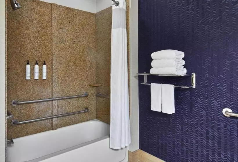 Standard-studio King-vuode, Fairfield Inn & Suites By Marriott Gainesville