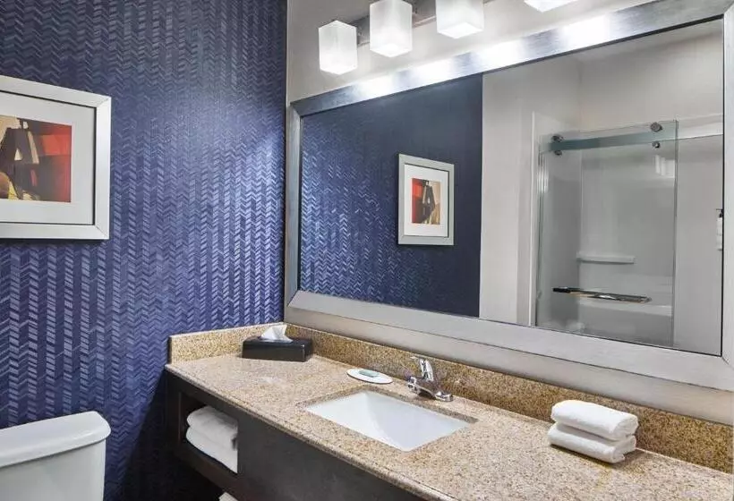 Standard-studio King-vuode, Fairfield Inn & Suites By Marriott Gainesville