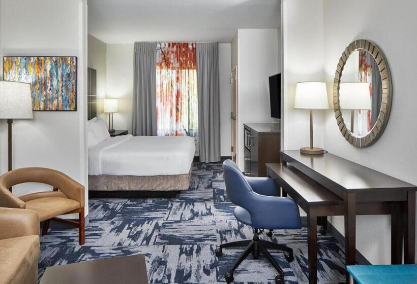 스탠다드 스튜디오 킹침대, Fairfield Inn & Suites By Marriott Gainesville