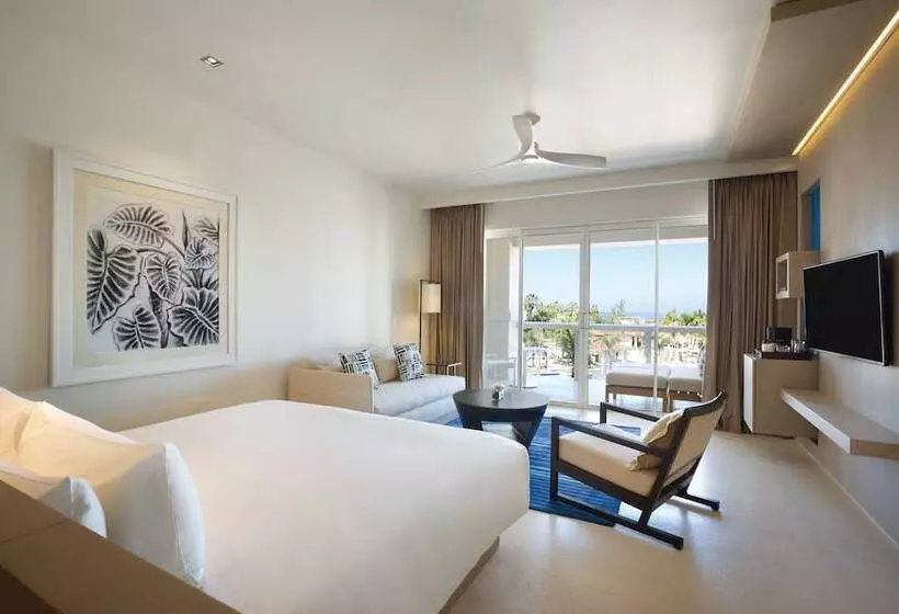 سوئیت جونیور با تخت بزرگ, Hyatt Zilara Rose Hall Adults Only All Inclusive