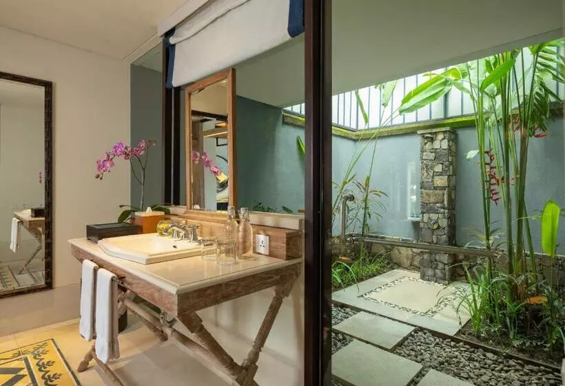 Standard Room with Views