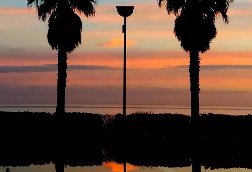 سوییت جونیور با چشم‌انداز دریا, Martur Resort