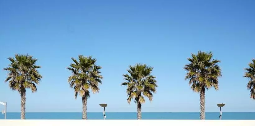 اتاق استاندارد با تخت بزرگ, Martur Resort