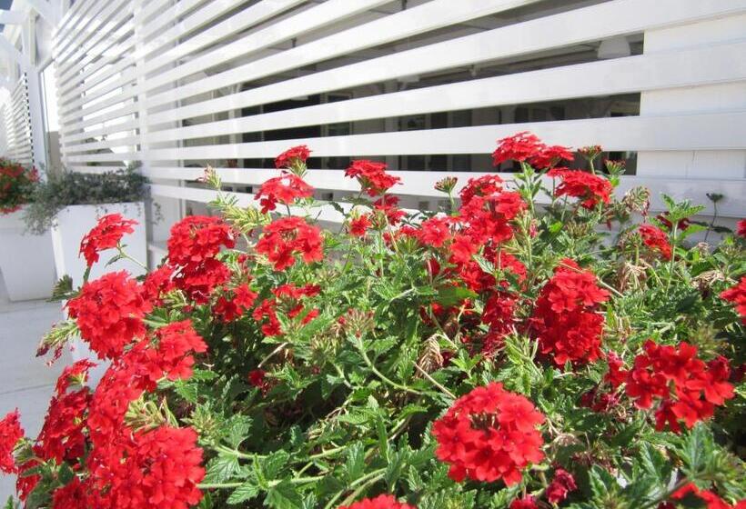 Номер Стандарт, Martur Resort