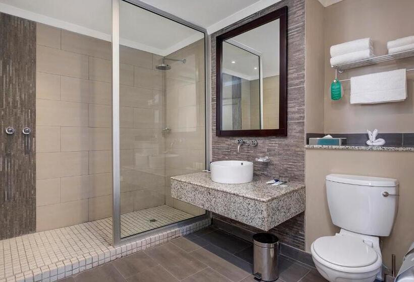 اتاق استاندارد با تخت بزرگ, Protea Hotel By Marriott Lusaka Tower