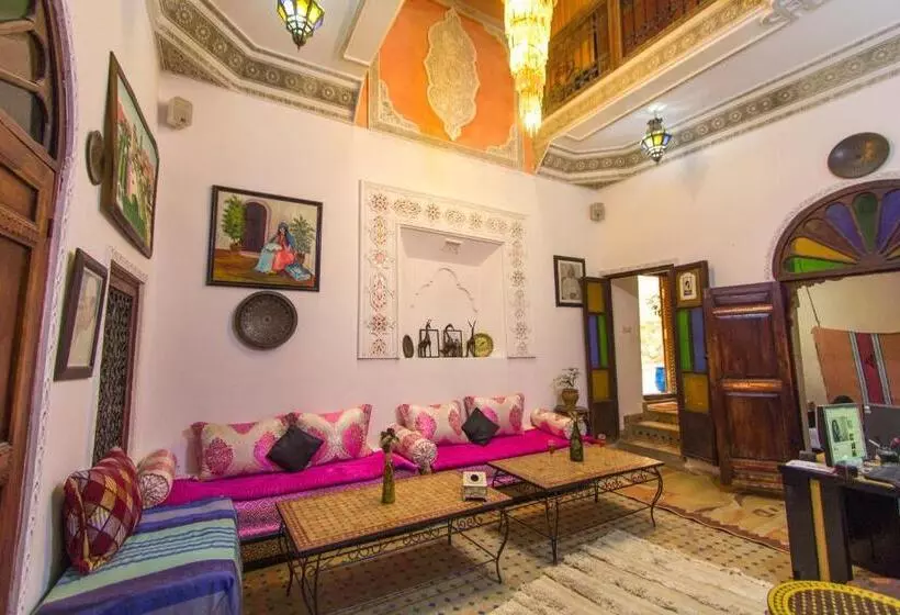 اتاق عادی یک تخته, Riad Anass Al Ouali