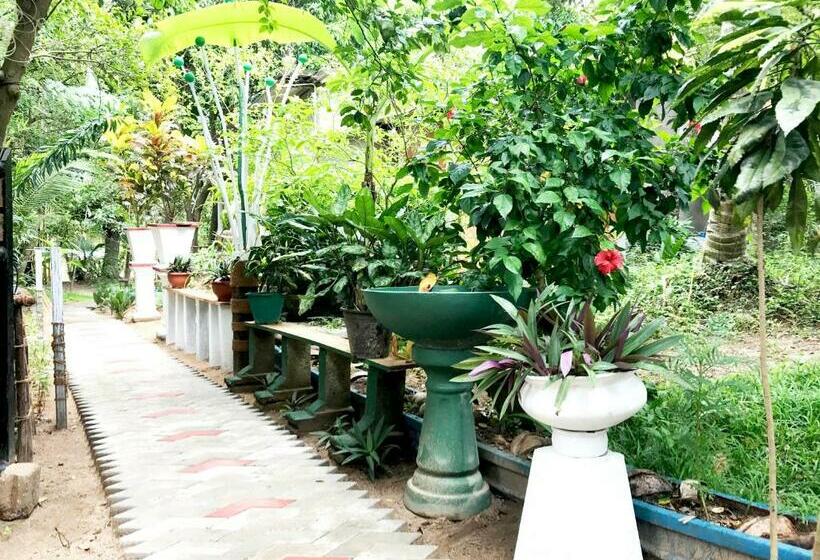 Трехместный Номер Deluxe, Green Orange Villa