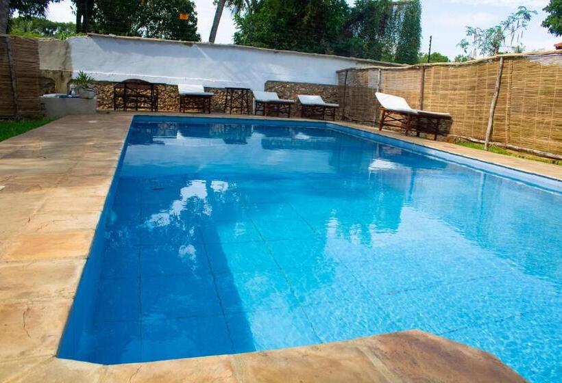 اتاق استاندارد, Cycad Palm Diani