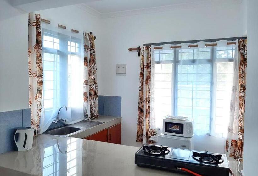 اتاق استاندارد, Cycad Palm Diani