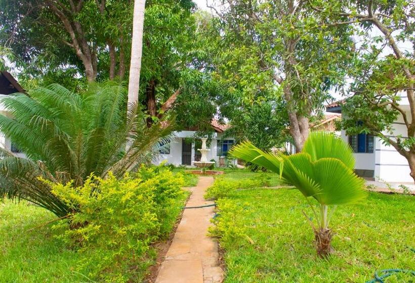 اتاق استاندارد, Cycad Palm Diani