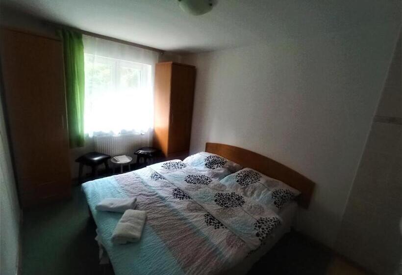 غرفة قياسية, Penzion Modřanka