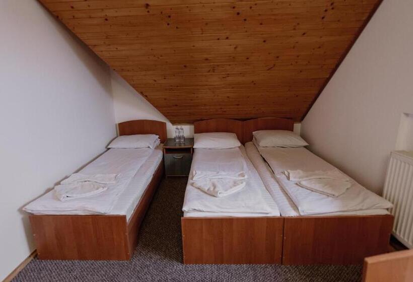 Четырехместный Номер Стандарт, готель яблуниця