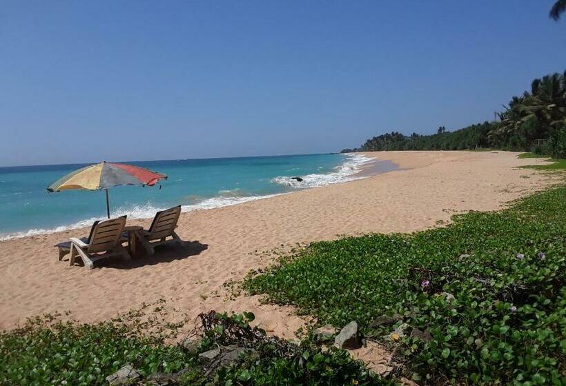 Quarto Superior, Gold Sand Resort