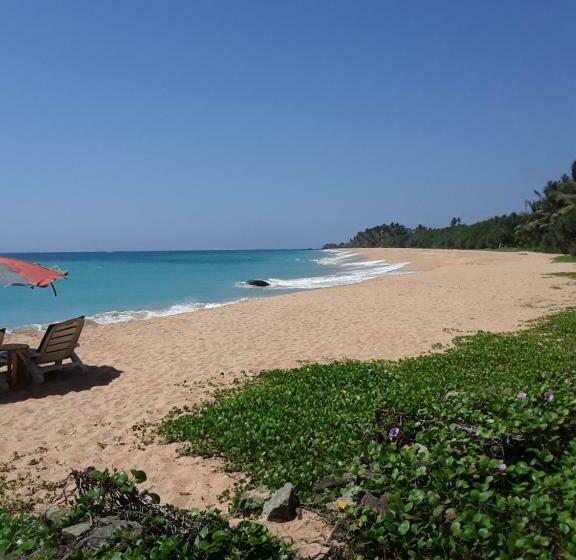 חדר סופריור, Gold Sand Resort