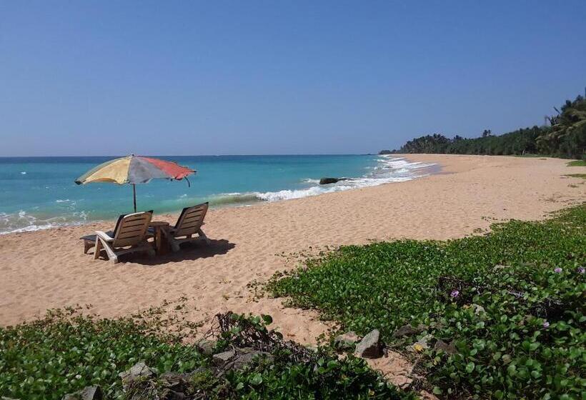 חדר דלוקס לשלושה, Gold Sand Resort