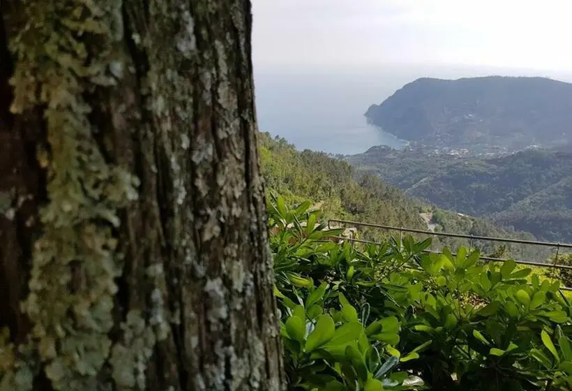 スタンダードルーム, Santuario Ns Soviore Cinque Terre