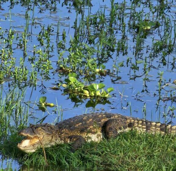 חדר סטנדרט נוף לאגם, Lake Face Cabana