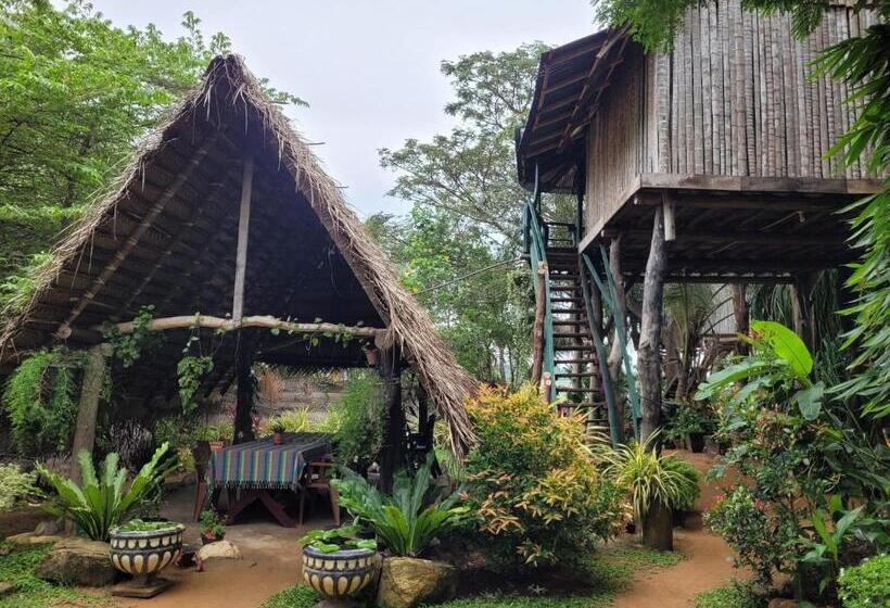חדר משפחתי, Lake Face Cabana