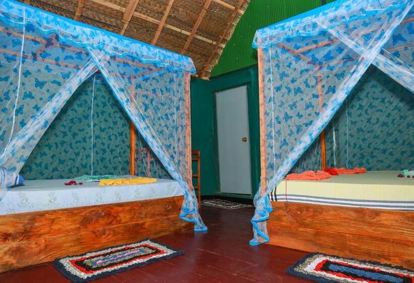 חדר משפחתי, Lake Face Cabana