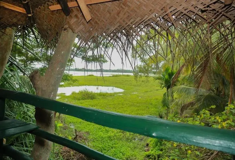 ファミリールーム, Lake Face Cabana